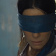 Illustration for article titled Bird Box's popularity forces Netflix to warn people not to hurt themselves while running around in blindfolds